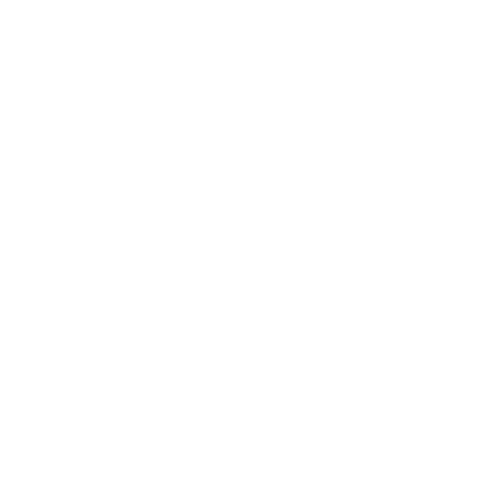Responsible Minerals Initiative